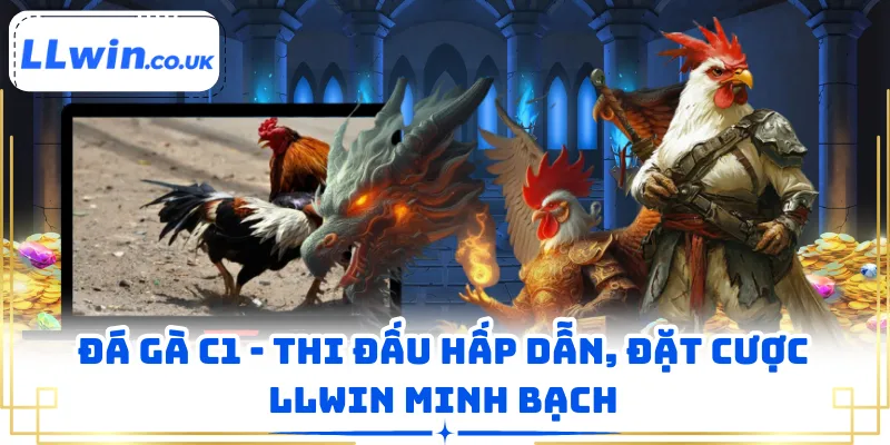 Đá Gà C1 - Thi Đấu Hấp Dẫn, Đặt Cược LLWIN Minh Bạch