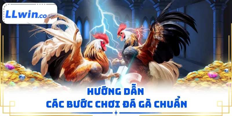 Hướng dẫn các bước chơi đá gà chuẩn