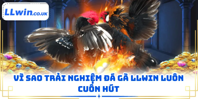Vì sao trải nghiệm đá gà LLWIN luôn cuốn hút